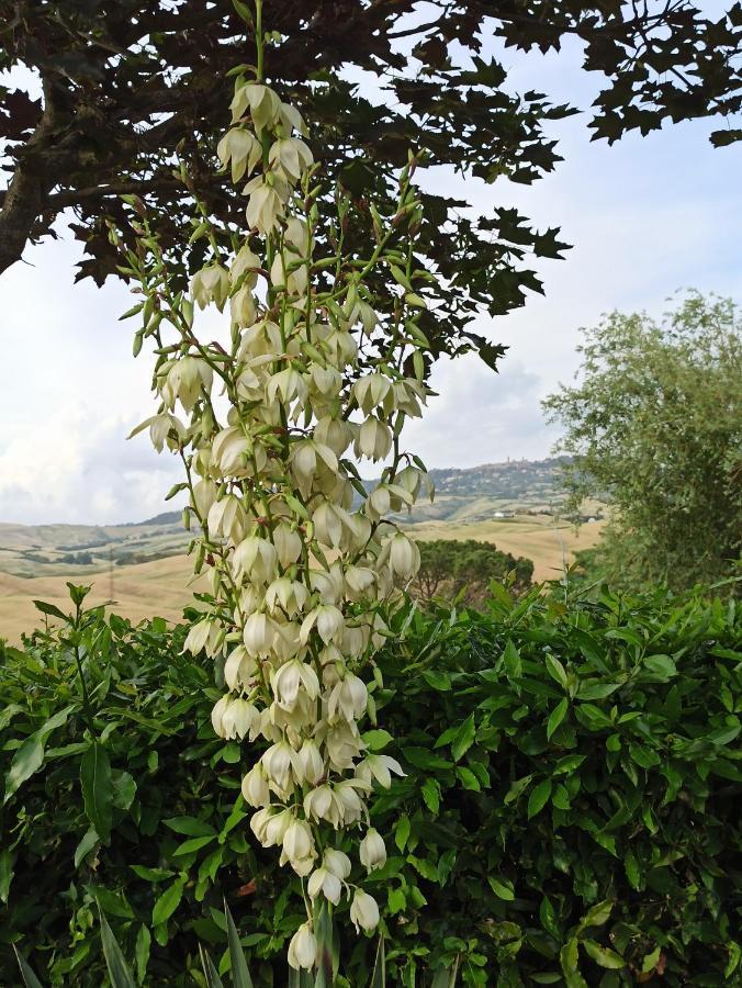 Agriturismo La Spiga Montecatini Val di Cecina Exterior photo