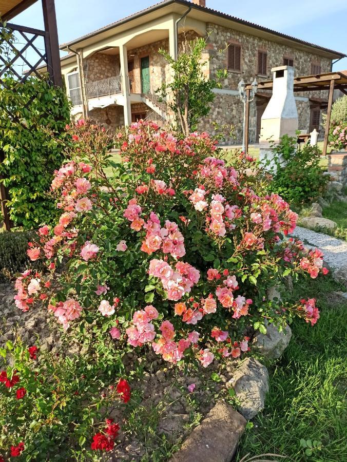 Agriturismo La Spiga Montecatini Val di Cecina Exterior photo