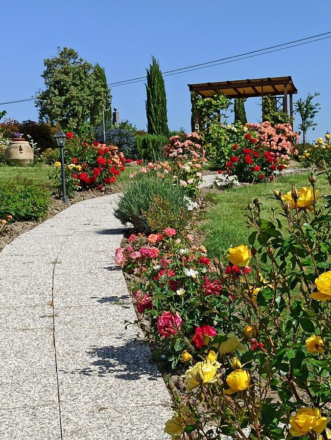 Agriturismo La Spiga Montecatini Val di Cecina Exterior photo